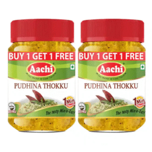 AACHI PUDHINA RICE THOKKU 200 Grams