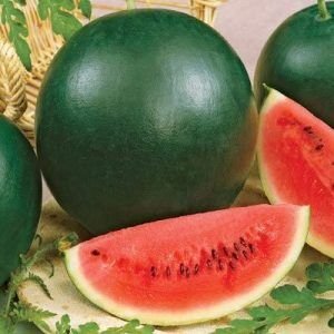 FRUITS WATERMELON KIRAN 1 Kg