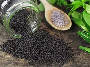 Grace Sabja Seeds 100 Grams