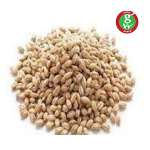 BARLEY 100 Grams