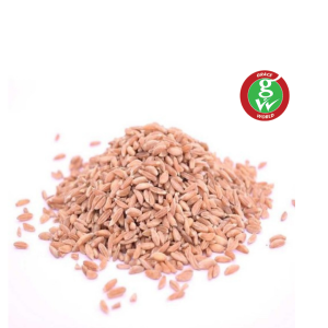 Grace Samba Wheat 500 Grams