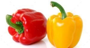 VEGETABLES COLOUR CAPSICUM 250 Grams