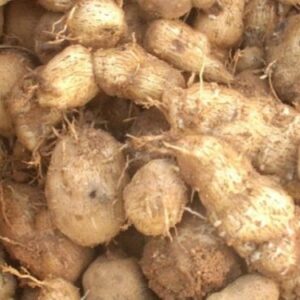 VEGETABLES SIRU KILANGU 250 Grams