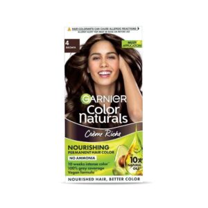 Garnier Hair Dye Brown 4