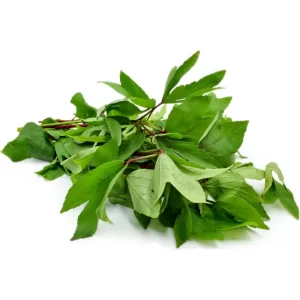VEGETABLES PULICHA KEERAI 1 Pieces