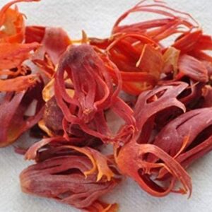 JATHI PATHRI 10 Grams
