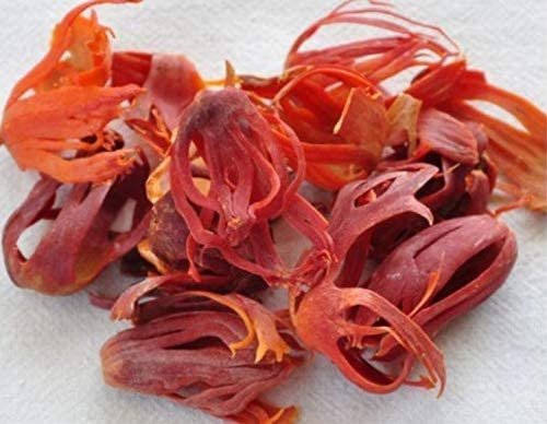 JATHI PATHRI 10 Grams