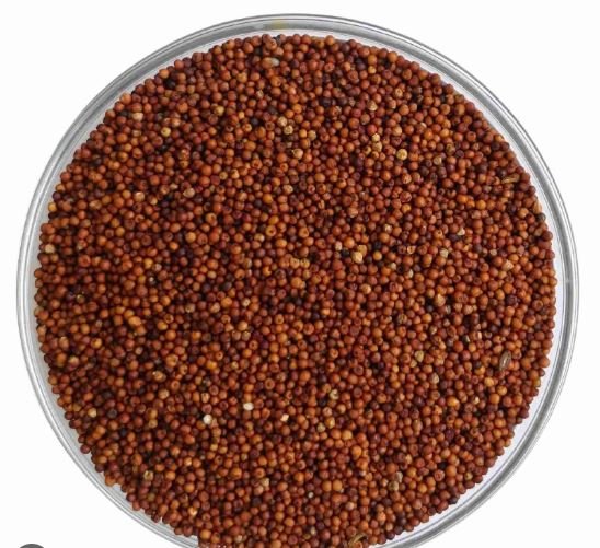 RAGI 500 Grams
