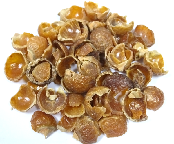 SOAP NUT 200 Grams