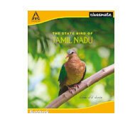 CLASSMATE UN RULED 172 PAGES 19*15.5